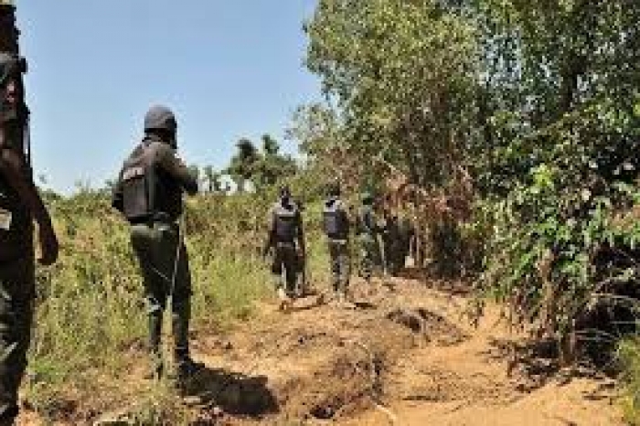 Gunmen ‘from Nigeria’ kill 5 Cameroonian soldiers in cross-border attack