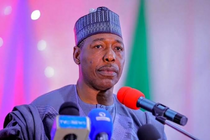 Terrorists outgun Army, saboteurs within undermining anti-insurgency war - Zulum