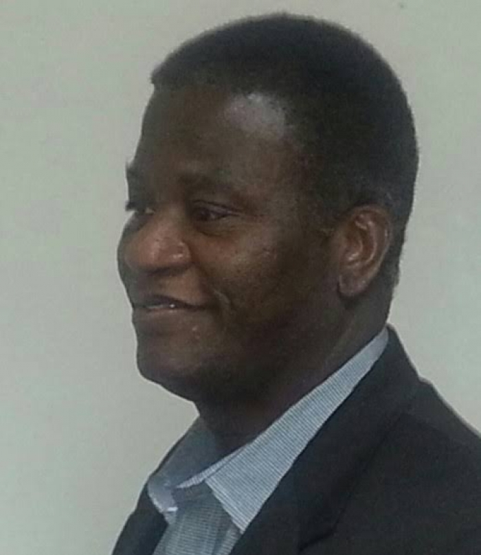 Nigeria is down to one and a quarter arms of government - Solana Olumhense