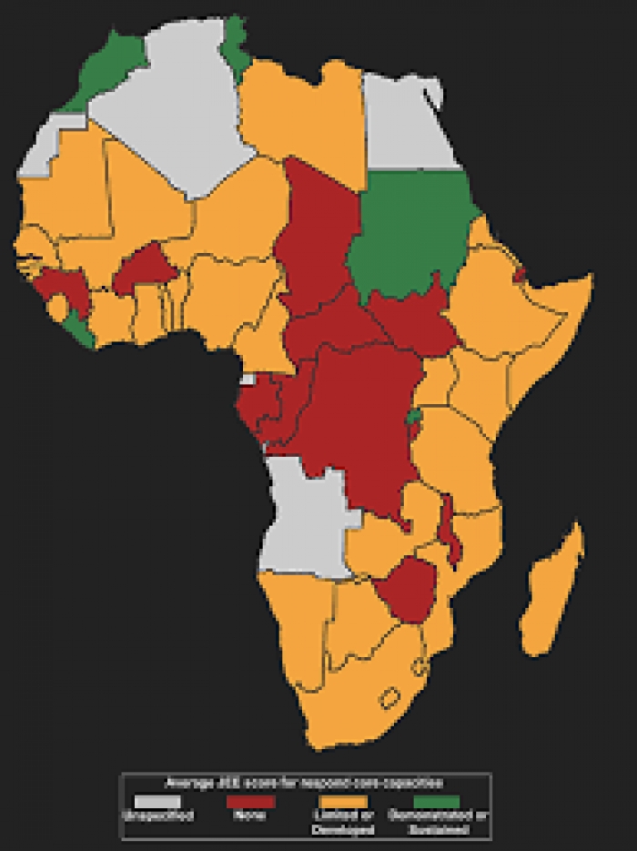Shadow states are the biggest threat to democracy in Africa: Fresh reports detail how