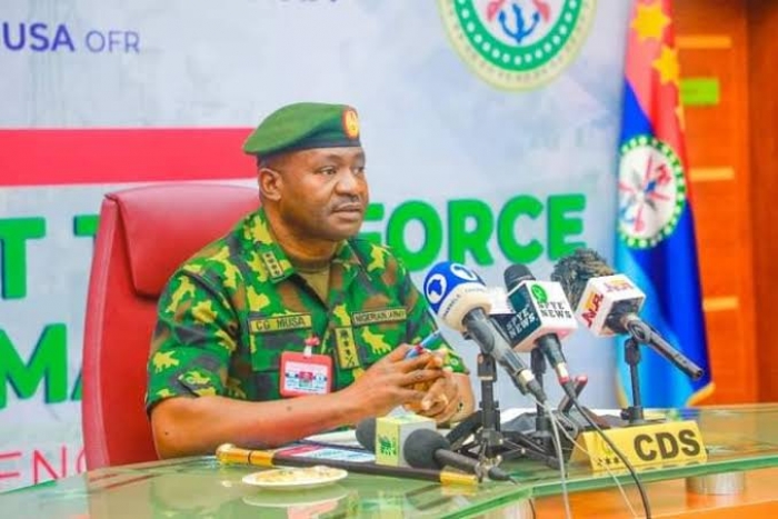 Military action can only solve 30% of Nigeria's security challenges, says Defence chief