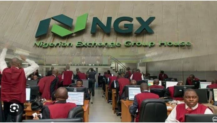 NewsScroll analysis: Nigerian stock market soars in Naira but falters in dollar terms amid economic struggles