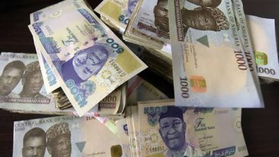 ISWAP shares old Naira notes to Borno residents