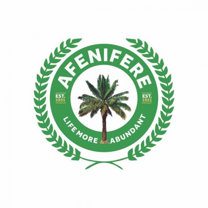 Afenifere criticizes Tinubu over ‘Yorubalisation’ of key federal appointments