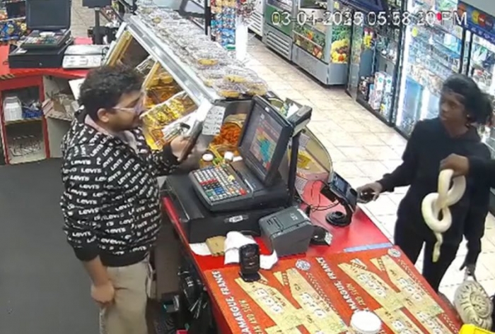 Thieves rob convenience store armed with pythons