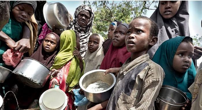 Nigeria faces Africa's worst food crisis as 31.8m experience acute shortages, UNICEF, others report