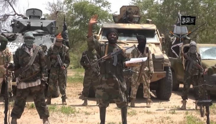 Boko Haram terrorists kill at least 20 in fresh attack on Borno community